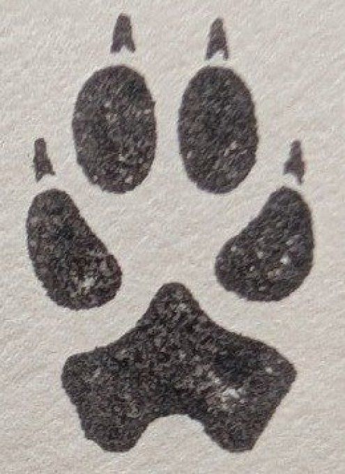 Tampon patoune 2cm